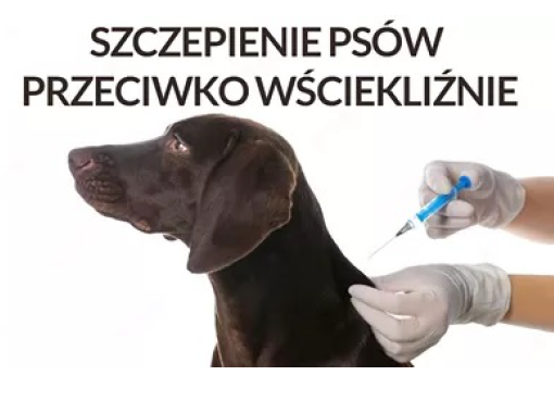 szczepienie psów